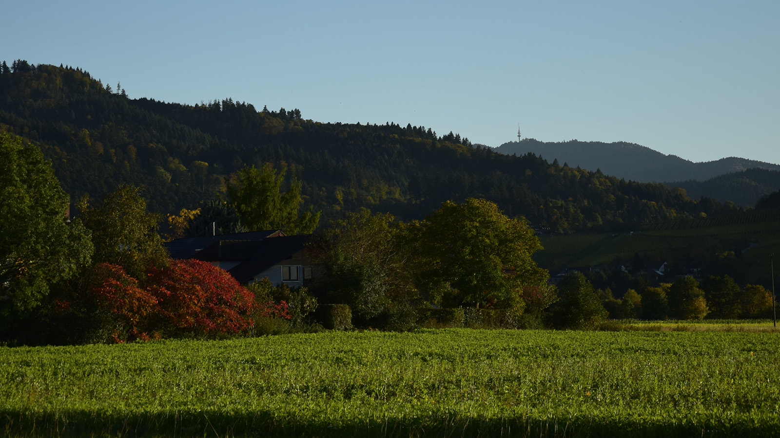 herbst_blauenblick